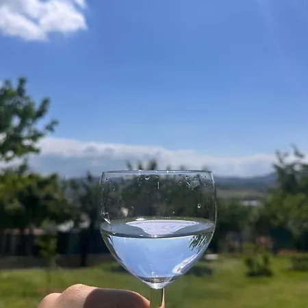 Belvedere Con Piscina - Soggiorni Le Grotte Appartement