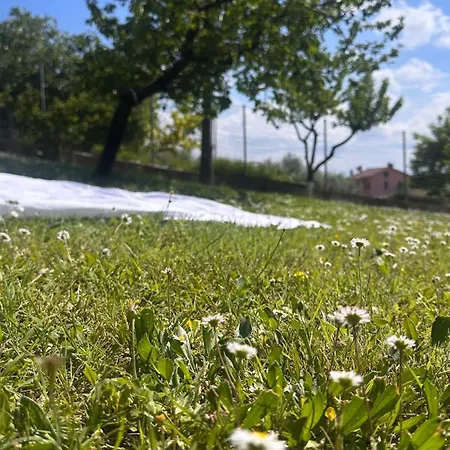 Belvedere Con Piscina - Soggiorni Le Grotte Apartmán Camerano